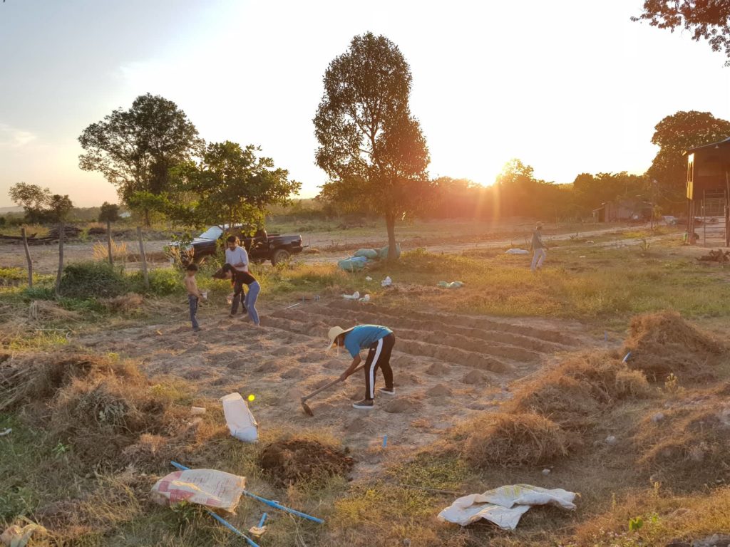 Implementing Well-Water Gardens