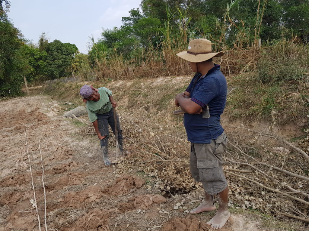 Helping a pastor set up a corn field